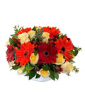 Mixed Rose & Daisy Arragement
