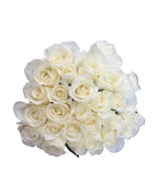 'Tibet' White Roses
