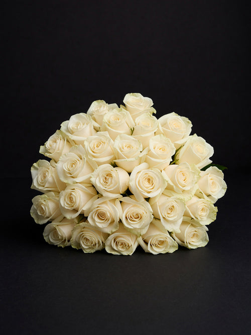 'Candlelight' Cream Two-Tone Roses