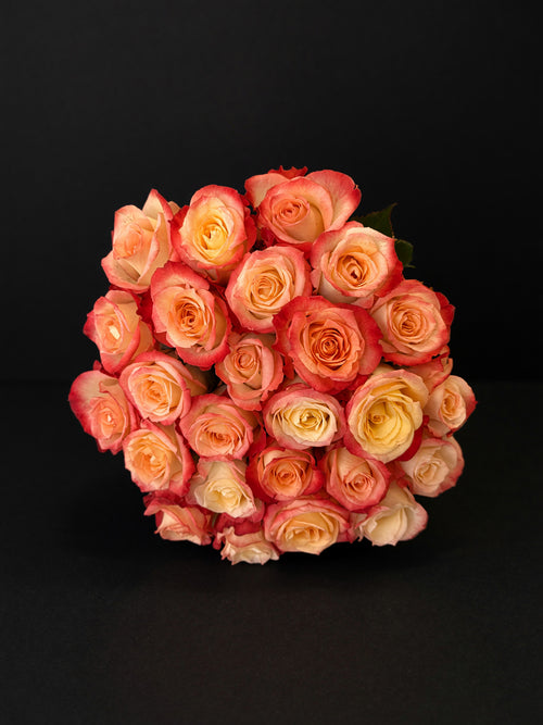 'Cabaret' Peach Two Tone Roses
