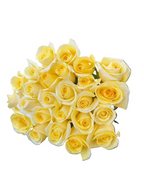 'Creme De La Creme' Cream Roses