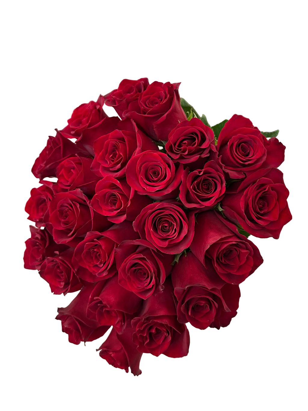 'Explorer' Signature Fifty Rose Bouquet