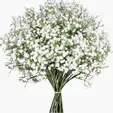 Baby's breath flower add-on