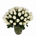 75 'Tibet' Rose Vase Arrangement