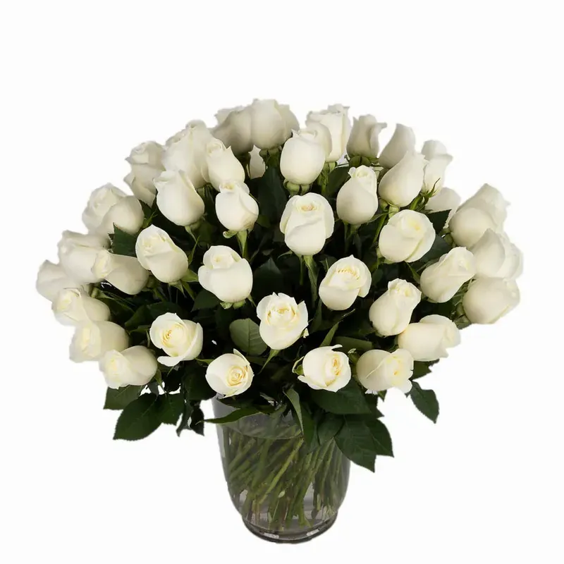 75 'Tibet' Rose Vase Arrangement