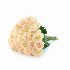 'Country Secret' Bi-Colour Roses