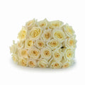 'Candlelight' Cream Two-Tone Roses