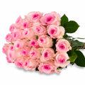 'Mandala' Soft Pink Roses