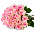 'Mandala' Soft Pink Roses