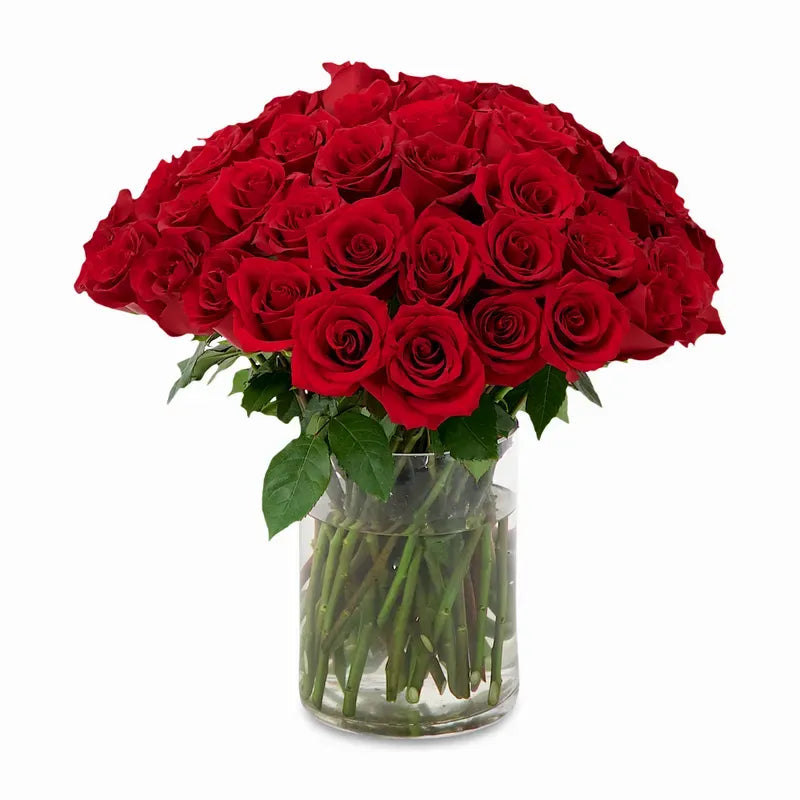 'Explorer' Medium Stem Vase Arrangement