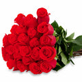 'Nina' Bright Red Roses