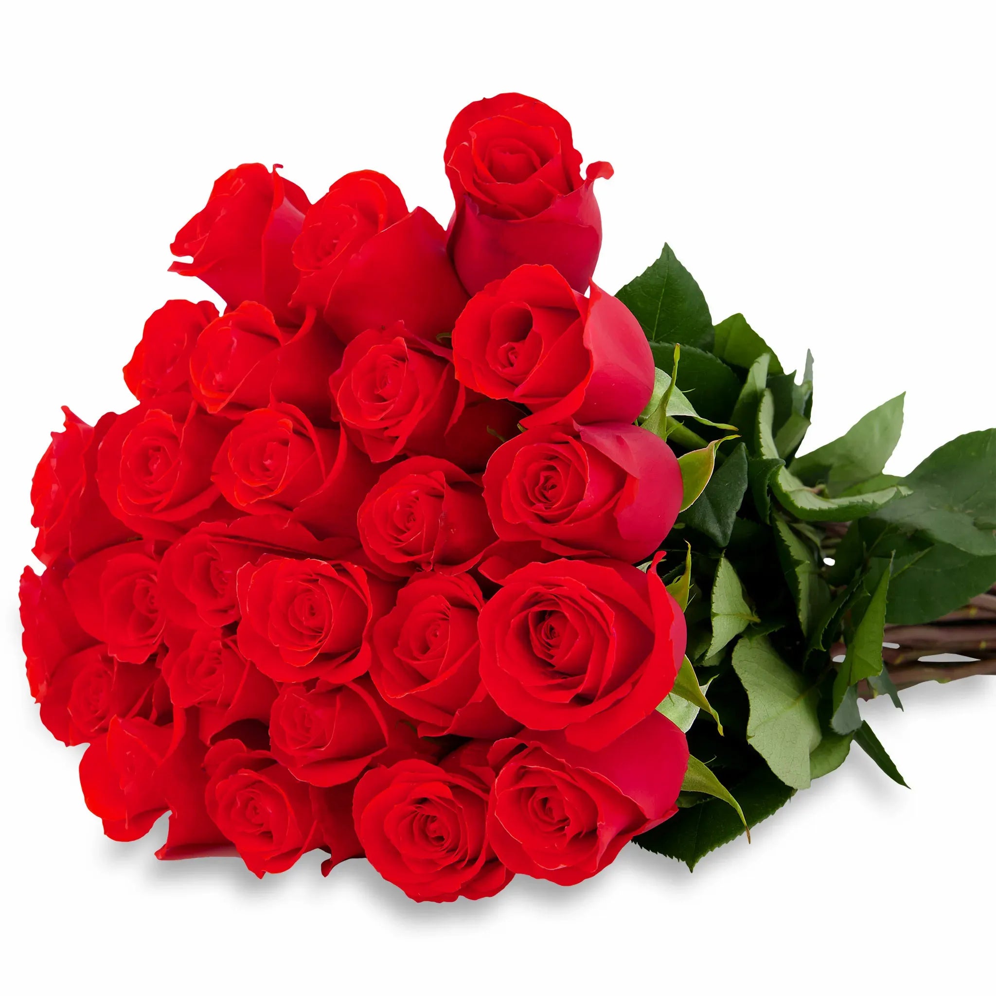 'Nina' Bright Red Roses