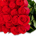 'Nina' Bright Red Roses