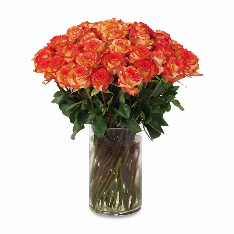 'High & Orange' Long Stem Vase Arrangement