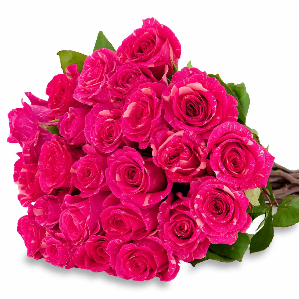 'Pandora' Pink Marble Roses