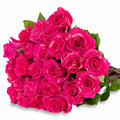 'Pandora' Pink Marble Roses