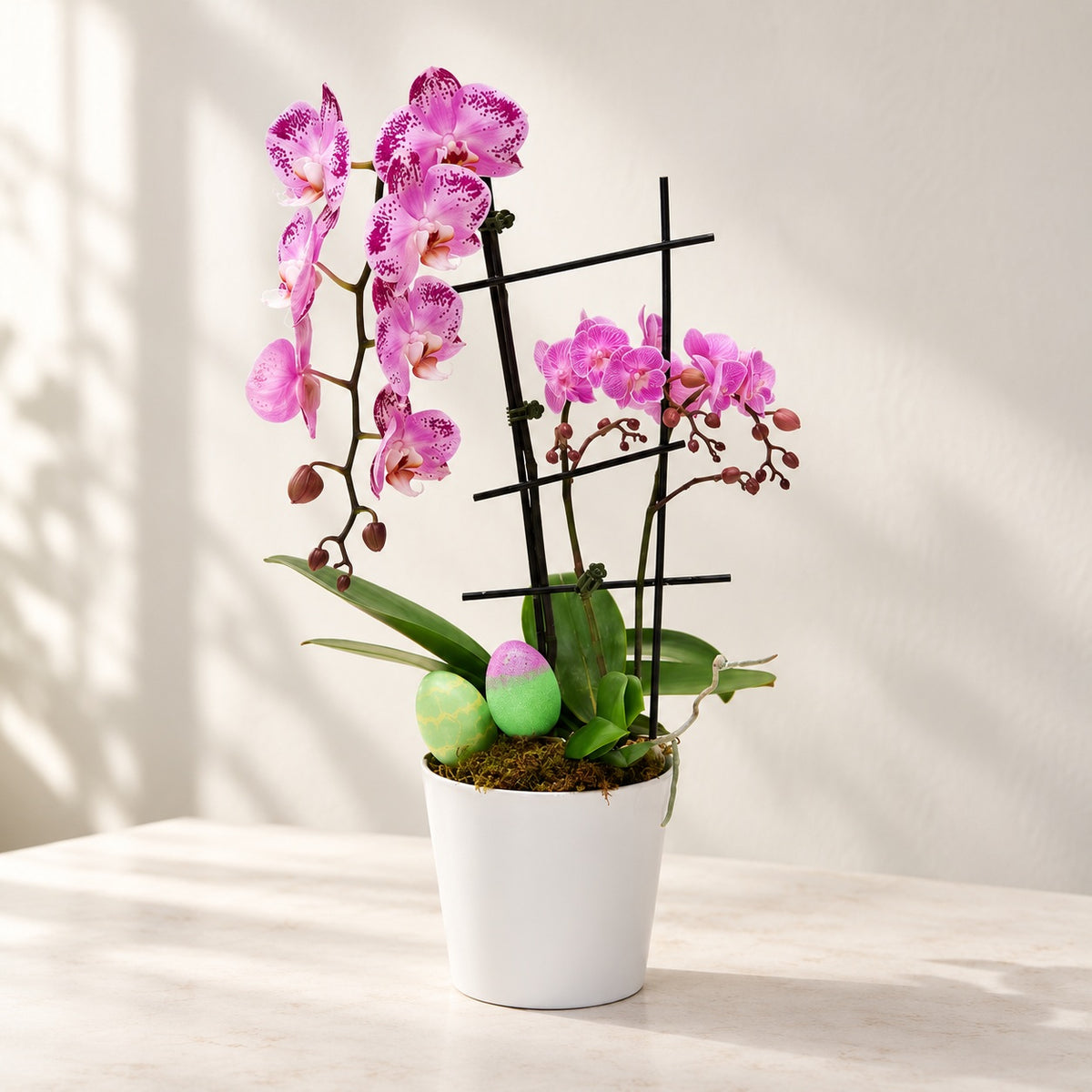 AI-assisted photo-style preview of Easter Waterfall Orchid w. Mini Orchids as shown; actual arrangement and proportions vary.