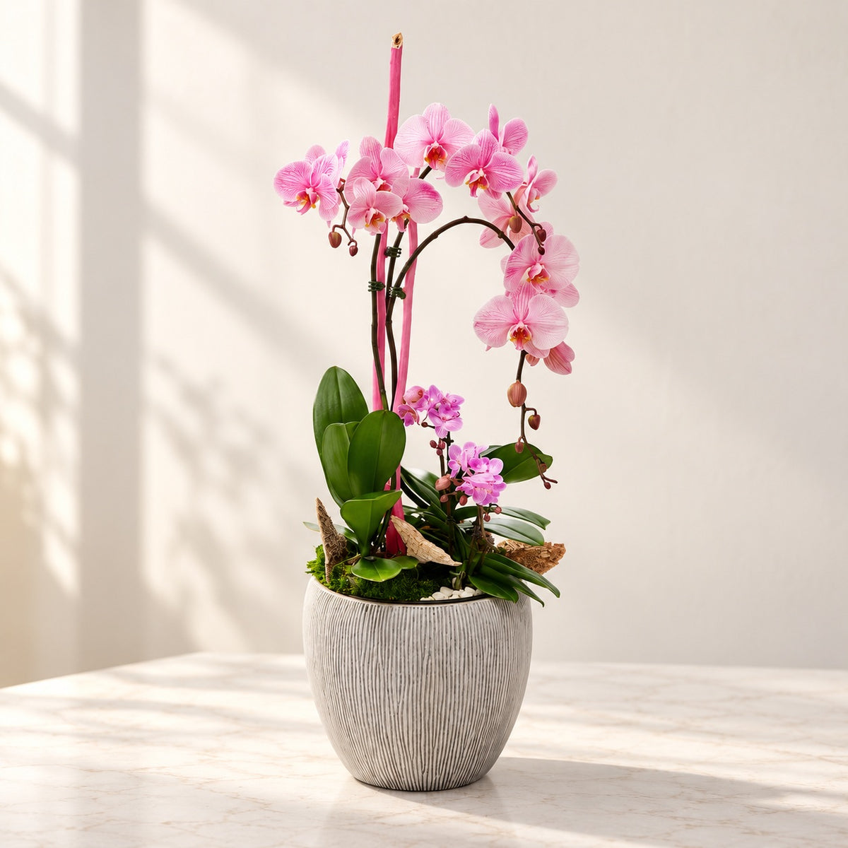 AI-assisted photo-style preview of Luxe Pink Orchid Planter as shown; actual arrangement and proportions vary.