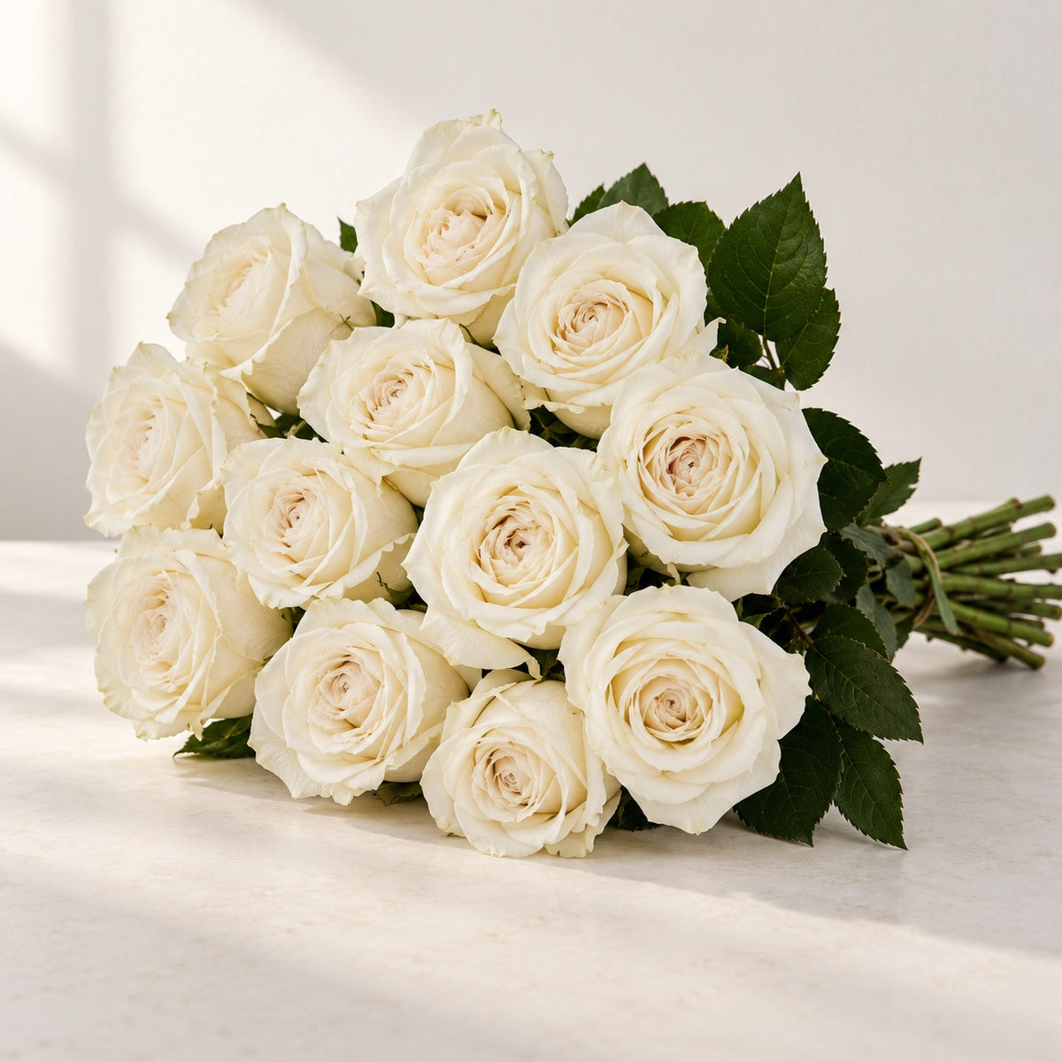 AI-assisted photo-style preview of Playa Blanca Off-White Roses – Toronto Flower Delivery, 12-rose option; actual arrangement and proportions vary.
