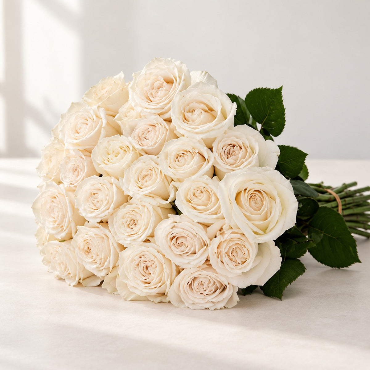 AI-assisted photo-style preview of Playa Blanca Off-White Roses – Toronto Flower Delivery, 25-rose option; actual arrangement and proportions vary.