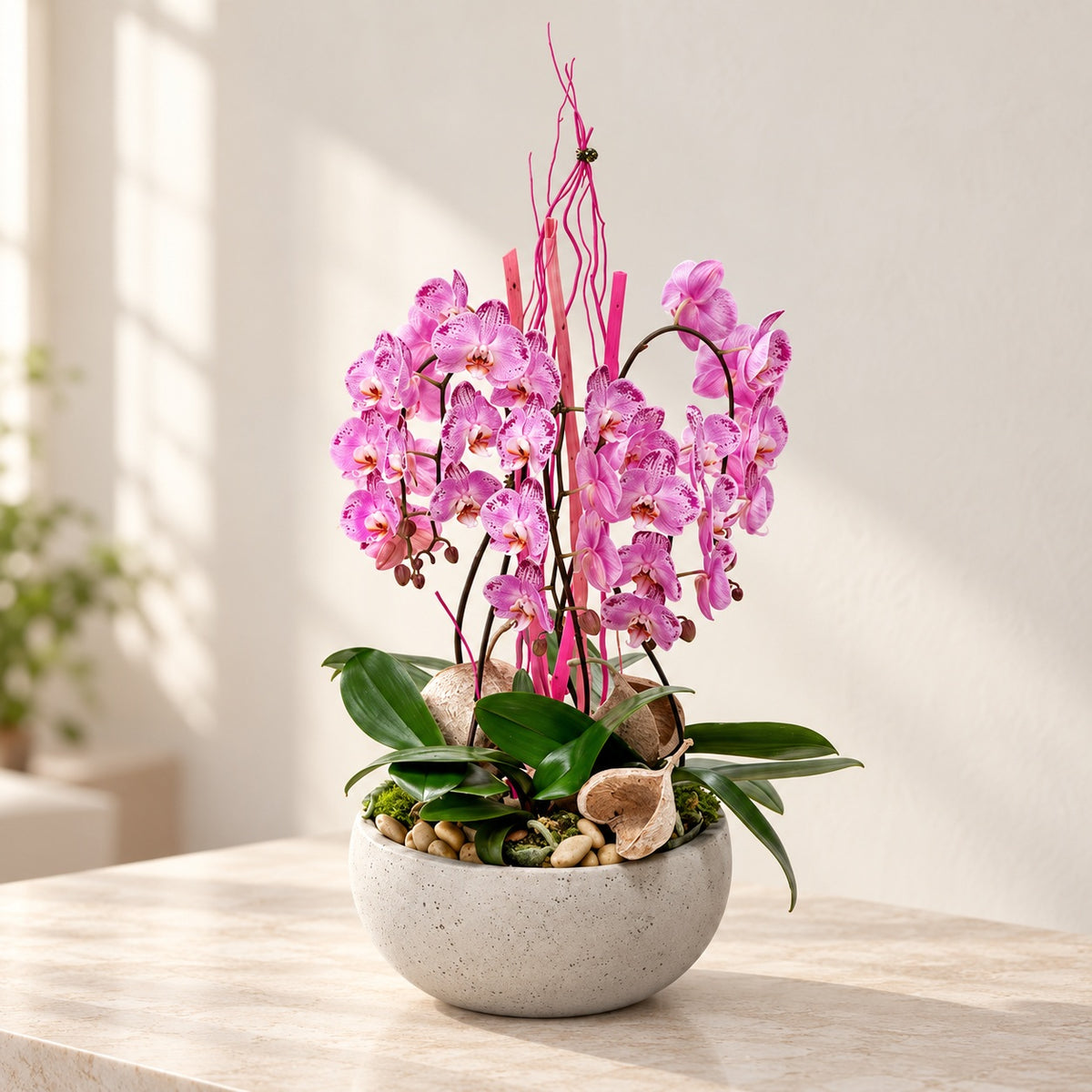AI-assisted photo-style preview of Premium Pink XL Orchid Planter as shown; actual arrangement and proportions vary.