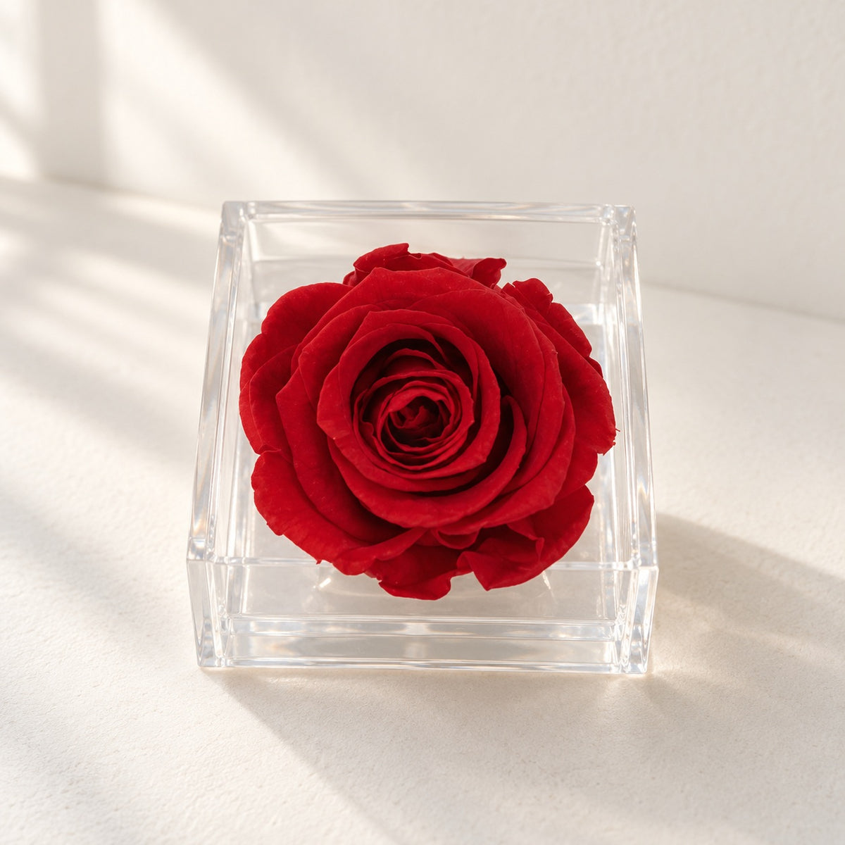 AI-assisted photo-style preview of Single Mini Forever Rose as shown; actual arrangement and proportions vary.