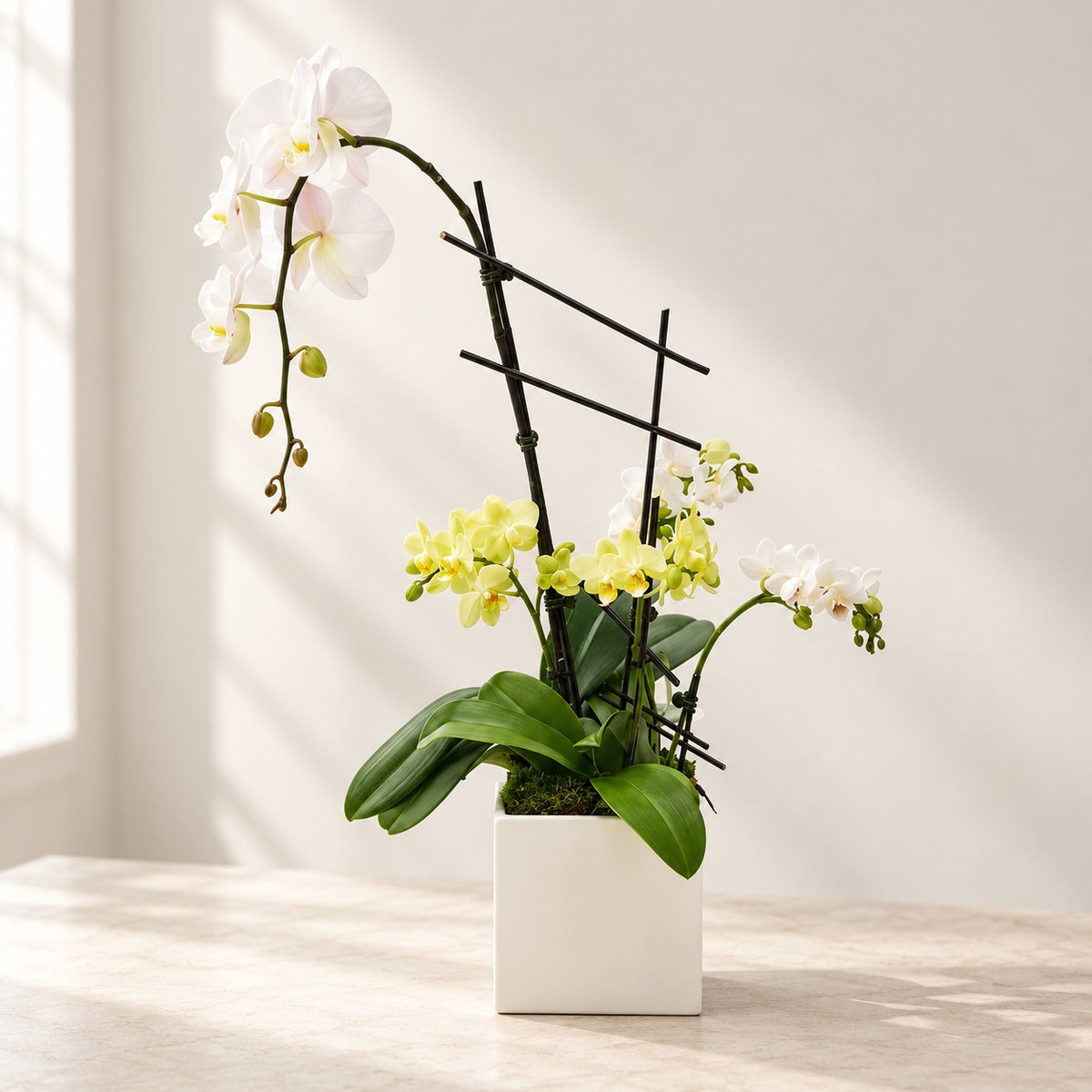 AI-assisted photo-style preview of Single Waterfall Orchid w. Mini Orchids as shown; actual arrangement and proportions vary.