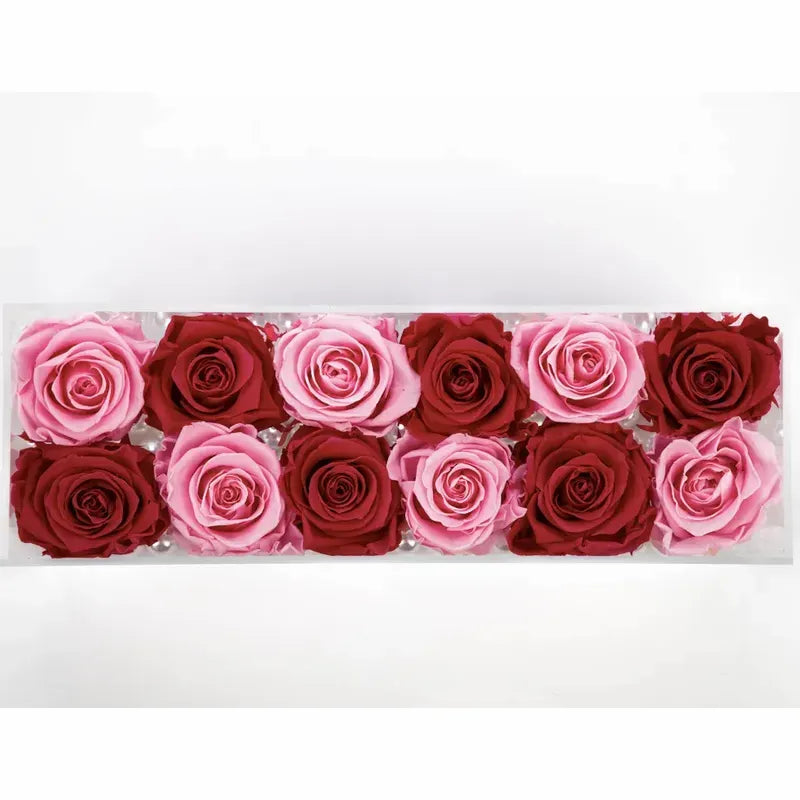 12 Forever Rose Box