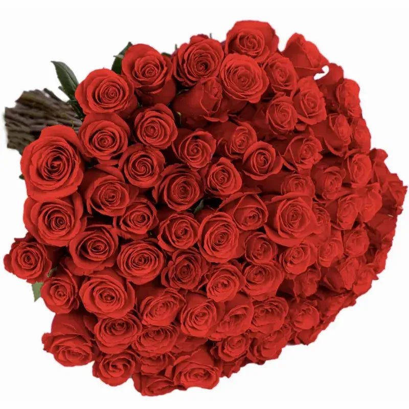 'Nina' Signature Seventy-Five Rose Bouquet