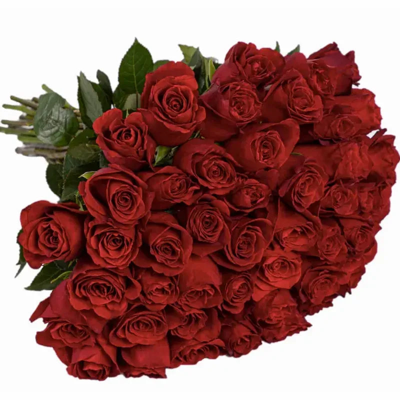 'Explorer' Signature Fifty Rose Bouquet