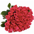 'Pink Floyd' Signature Fifty Rose Bouquet