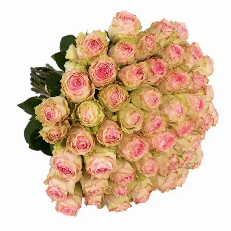 'Esperanza' Signature Fifty Rose Bouquet