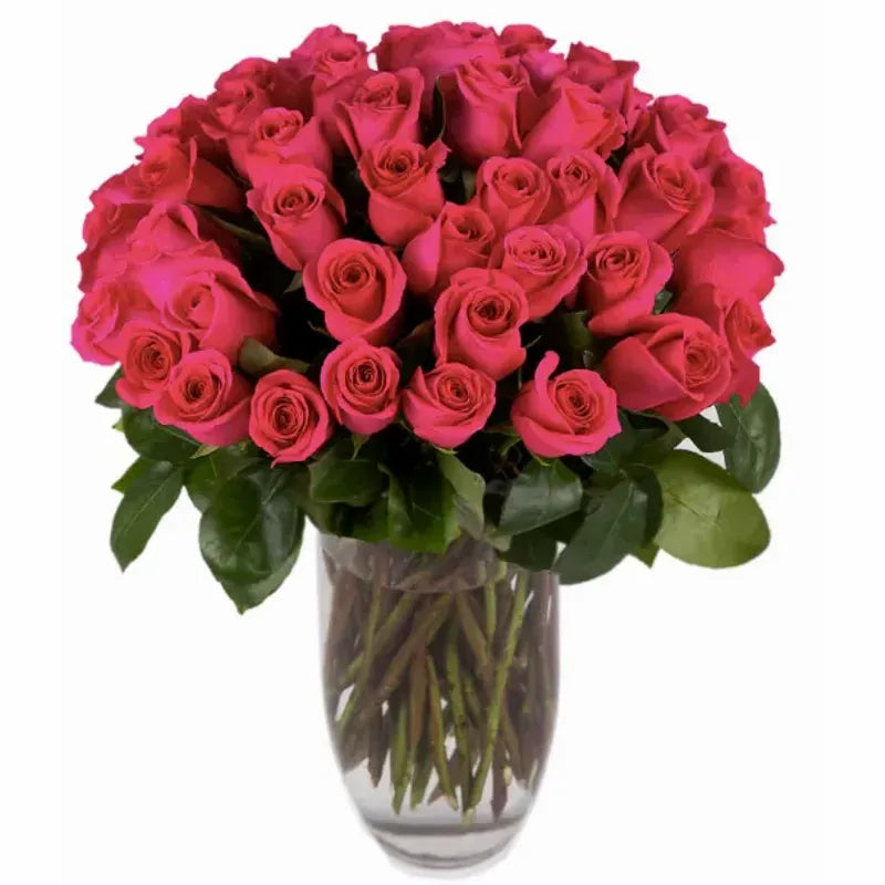 Fifty Long Stem 'Pink Floyd' Vase Arrangement