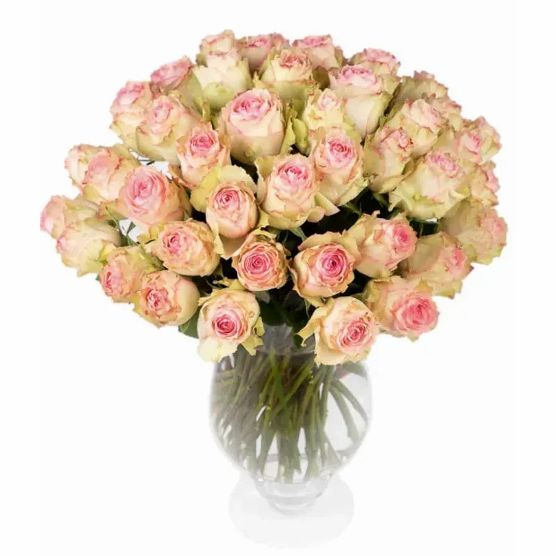 Fifty Medium Stem 'Esperanza' Rose Vase Arrangement