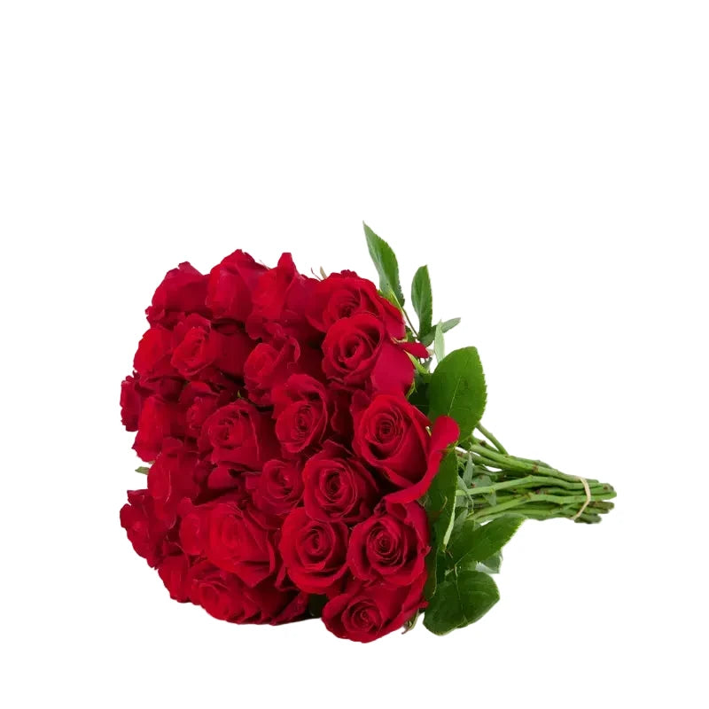 'Sexy Red' Roses