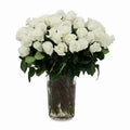 'MIA' XLong Stem Vase Arrangement